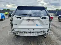 2019 Toyota RAV4 фото