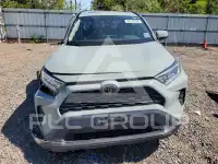 2019 Toyota RAV4 фото