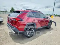 2019 Toyota RAV4 фото