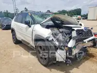 2019 Toyota RAV4 photo