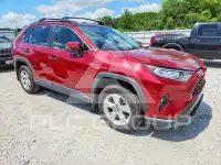 2019 Toyota RAV4 фото