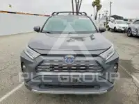 2019 Toyota RAV4 photo