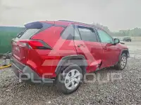 2019 Toyota RAV4 photo