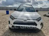 2019 Toyota RAV4 фото