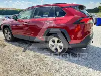 2019 Toyota RAV4 фото