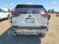 2019 Toyota RAV4 фото