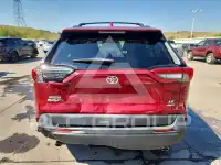 2019 Toyota RAV4 photo