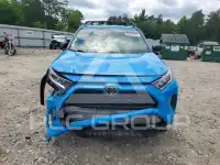 2019 Toyota RAV4 фото