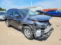 2019 Toyota RAV4 фото