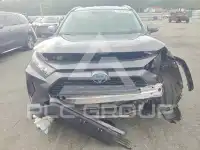 2019 Toyota RAV4 фото