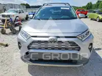 2019 Toyota RAV4 photo