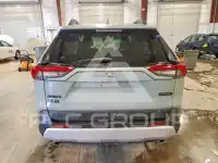 2019 Toyota RAV4 фото