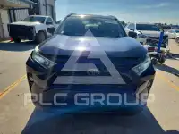 2019 Toyota RAV4 фото