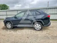 2019 Toyota RAV4 photo