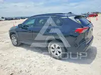 2019 Toyota RAV4 photo