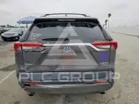 2019 Toyota RAV4 photo
