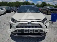 2019 Toyota RAV4 фото