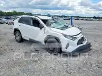 2019 Toyota RAV4 photo