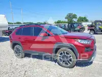 2019 Toyota RAV4 фото