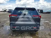 2019 Toyota RAV4 photo