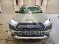 2019 Toyota RAV4 фото