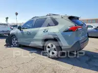 2019 Toyota RAV4 photo