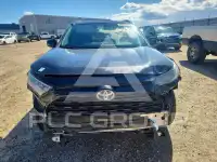 2019 Toyota RAV4 фото