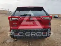 2019 Toyota RAV4 фото