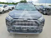 2019 Toyota RAV4 фото