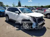 2019 Toyota RAV4 фото