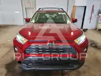 2019 Toyota RAV4 photo