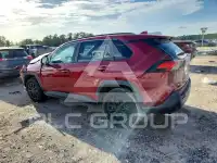 2019 Toyota RAV4 photo