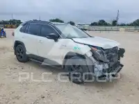 2019 Toyota RAV4 фото