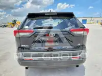 2019 Toyota RAV4 фото
