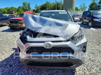2019 Toyota RAV4 фото