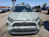 2019 Toyota RAV4 photo