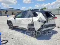 2019 Toyota RAV4 фото