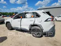 2019 Toyota RAV4 photo