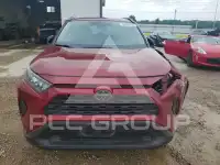 2019 Toyota RAV4 photo