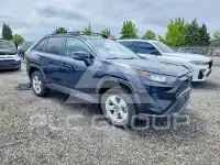 2019 Toyota RAV4 фото