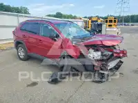 2019 Toyota RAV4 фото