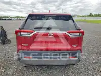 2019 Toyota RAV4 фото