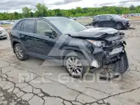 2019 Toyota RAV4 photo
