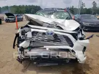 2019 Toyota RAV4 photo