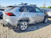 2019 Toyota RAV4 photo