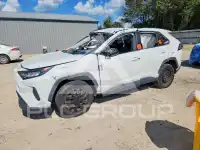 2019 Toyota RAV4 photo