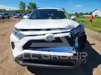 2019 Toyota RAV4 фото