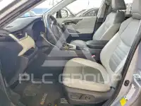 2019 Toyota RAV4 photo