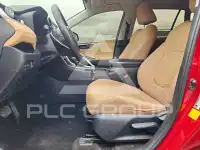 2019 Toyota RAV4 фото