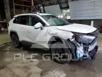 2019 Toyota RAV4 photo